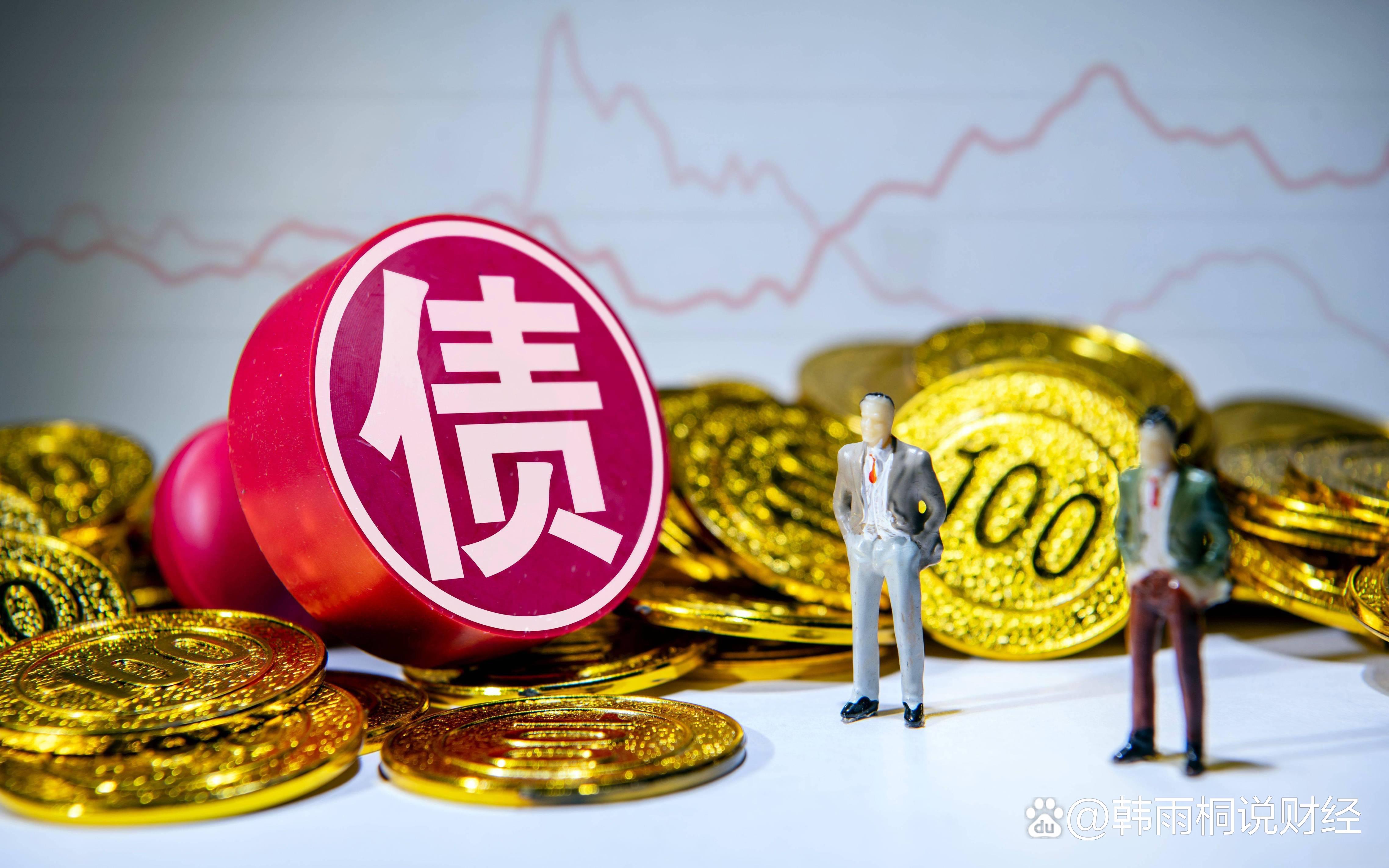 再融资信息披露(再融资信息披露的目的)成都市
