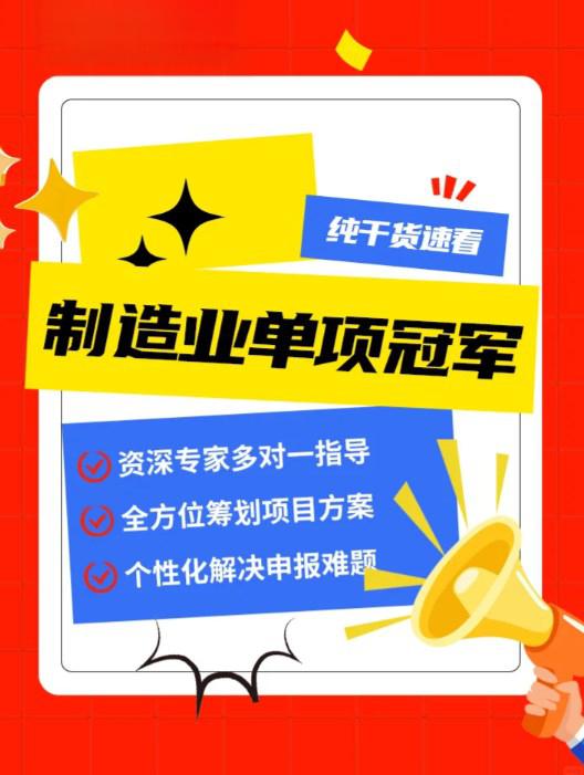 单项冠军申报辅导(单项冠军是什么意思)成都市