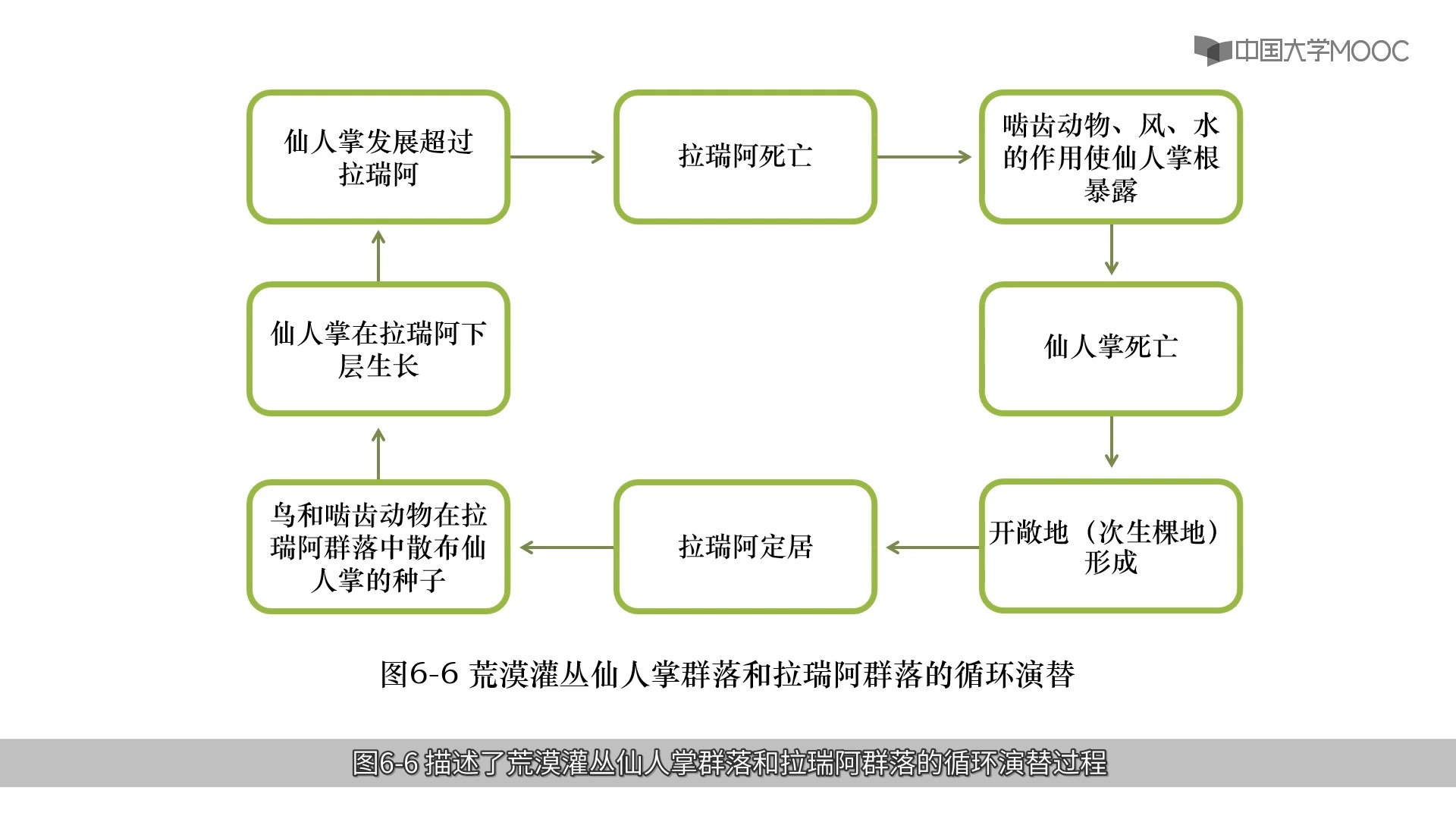 组织进化案例研究(组织的进化 创新模仿)成都市