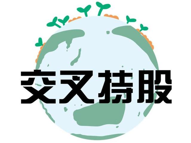交叉持股安排设计(交叉持股怎么计算持股比例)成都市