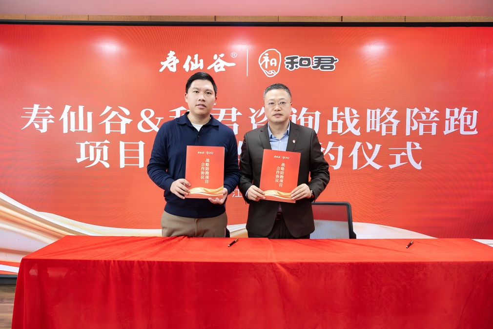 战略执行陪跑服务(战略执行五步方案案例)成都市