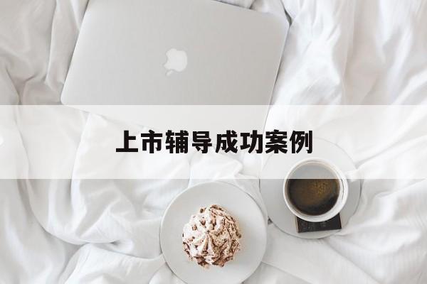 上市辅导成功案例(上市辅导成功后肯定会上市吗)成都市 上市辅导成功案例(上市辅导成功后肯定会上市吗)成都市