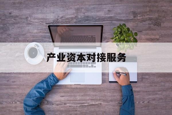 产业资本对接服务(产业资本对接服务包括哪些)成都市